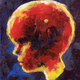 Illustration for article titled New comic book releases include iThe Fifth Beatle/i